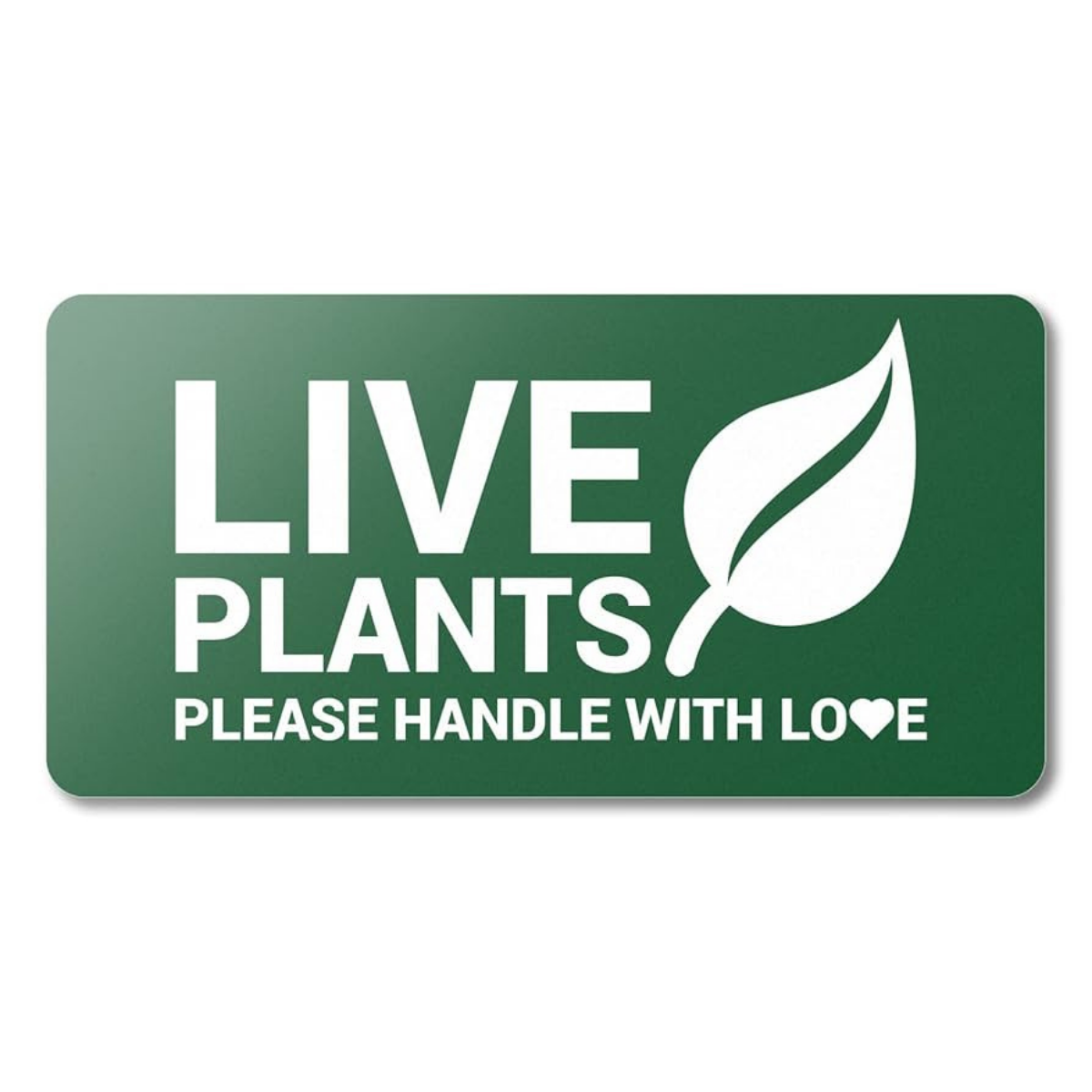 Expert Guide to Creating Professional Plant Care Labels