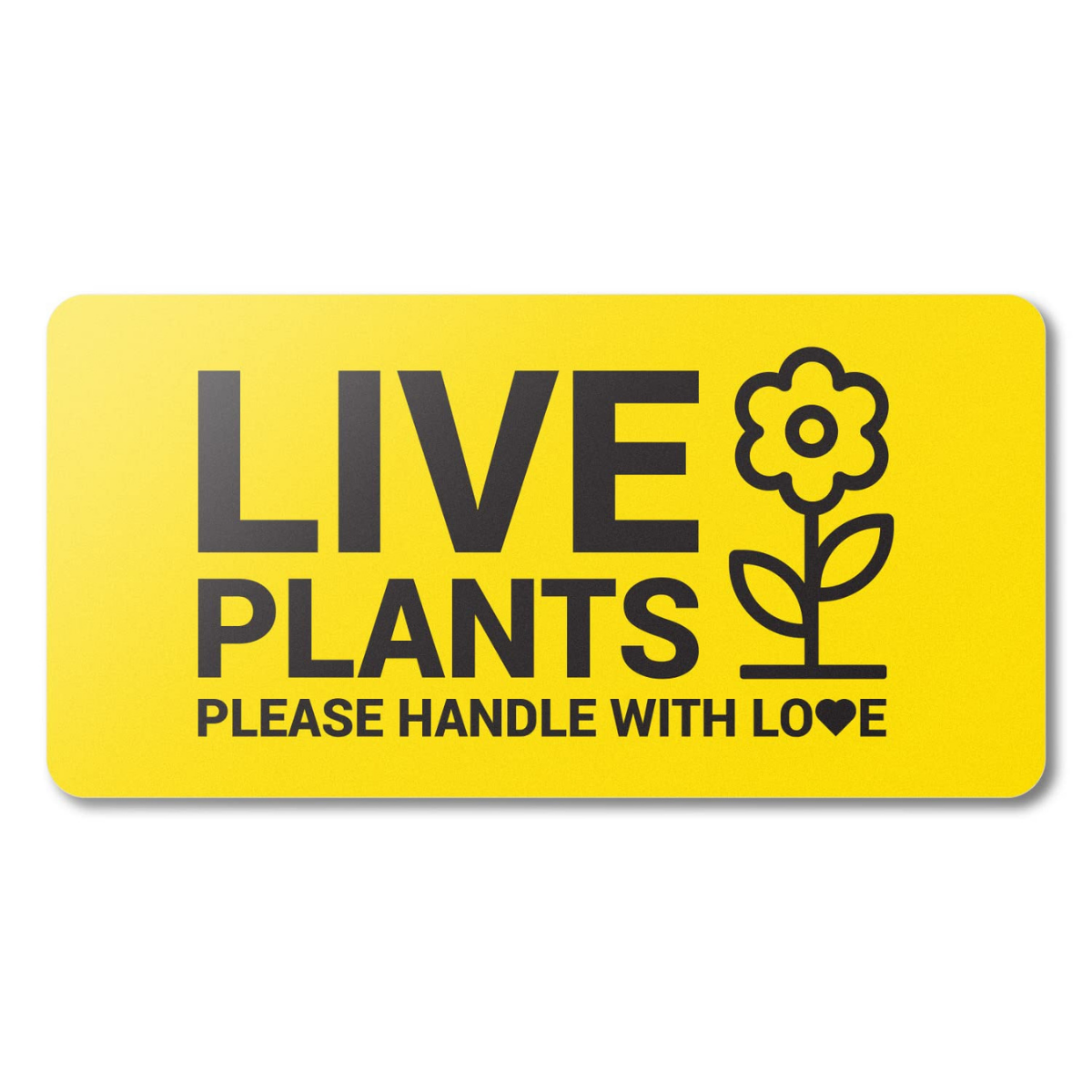 Expert Guide to Creating Professional Plant Care Labels