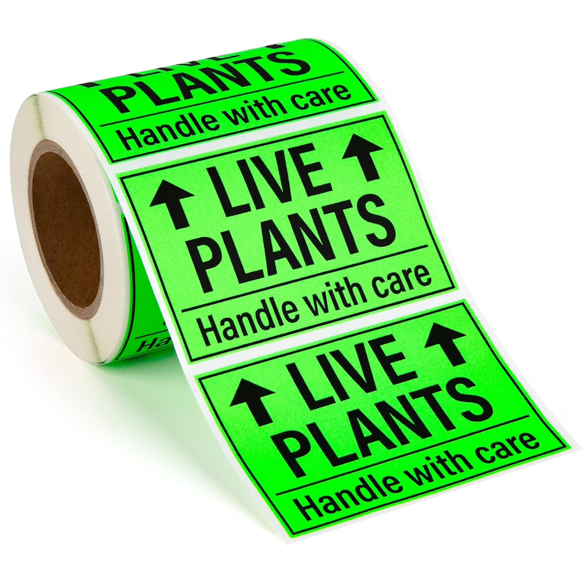“Understanding Plant Care Labels: A Guide to Happier, Healthier Plants”