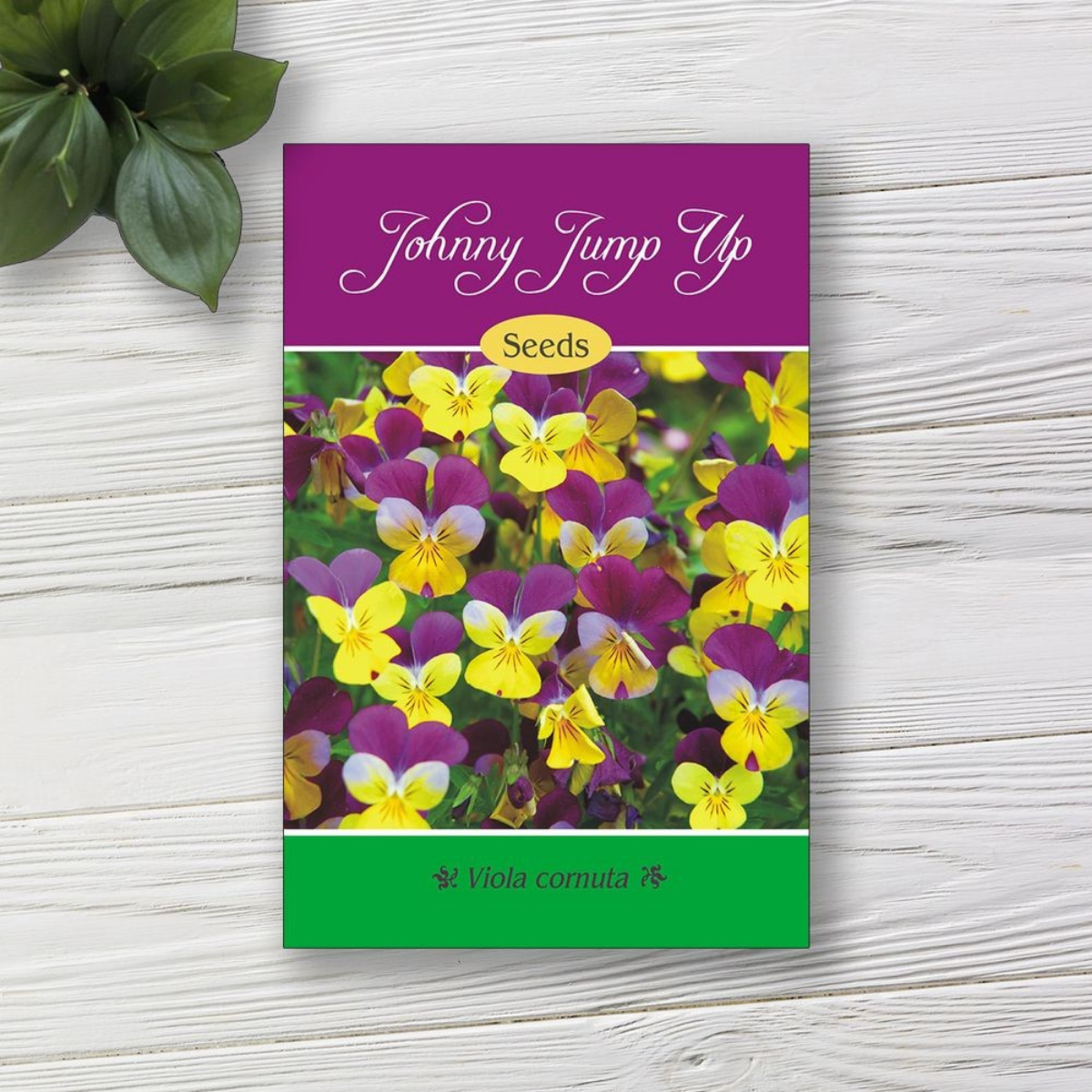 How to Create & Use Seed Packet Labels for Gardening Success