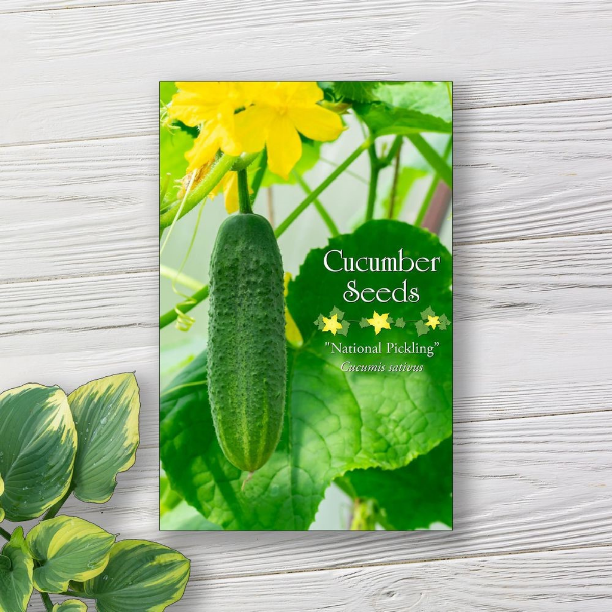 “How to Create Informative and Eye-Catching Seed Packet Labels”
