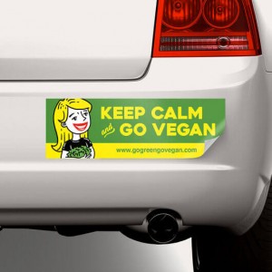 Bumper Magnet Stickers